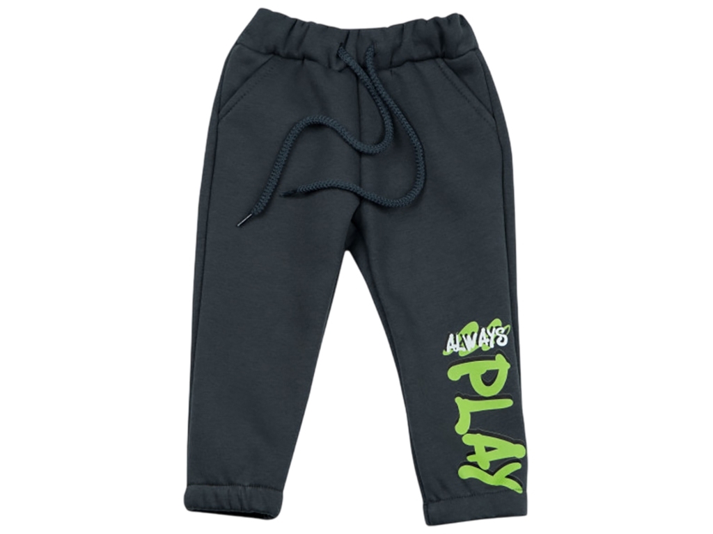 Штаны детские для мальчика BR-23-14 зимняя тринитка с начесом, Рост 86 серый темный, Gabbi